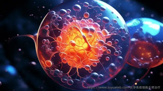 云浮免疫细胞干预治疗