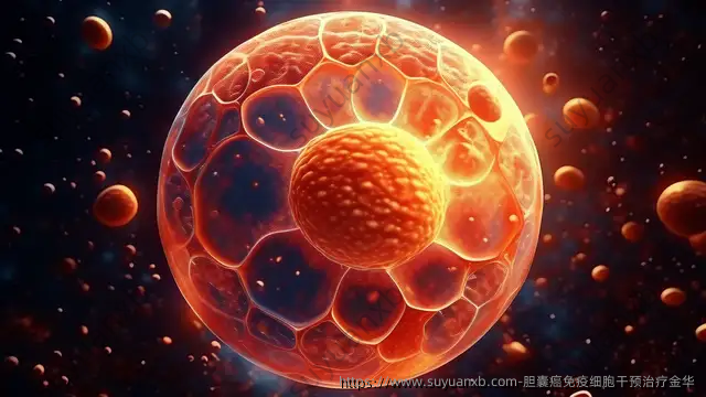 胆囊癌免疫细胞干预治疗金华