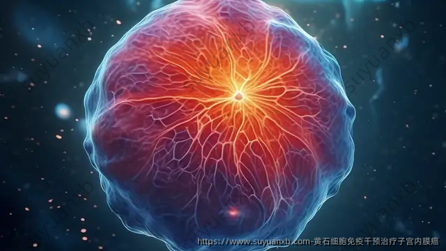 黄石细胞免疫干预治疗子宫内膜癌