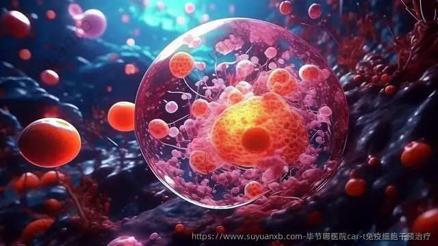 毕节哪医院car-t免疫细胞干预治疗