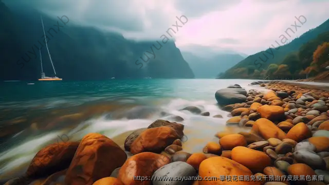 攀枝花细胞免疫干预治疗皮肤黑色素瘤