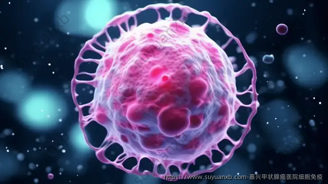嘉兴甲状腺癌医院细胞免疫
